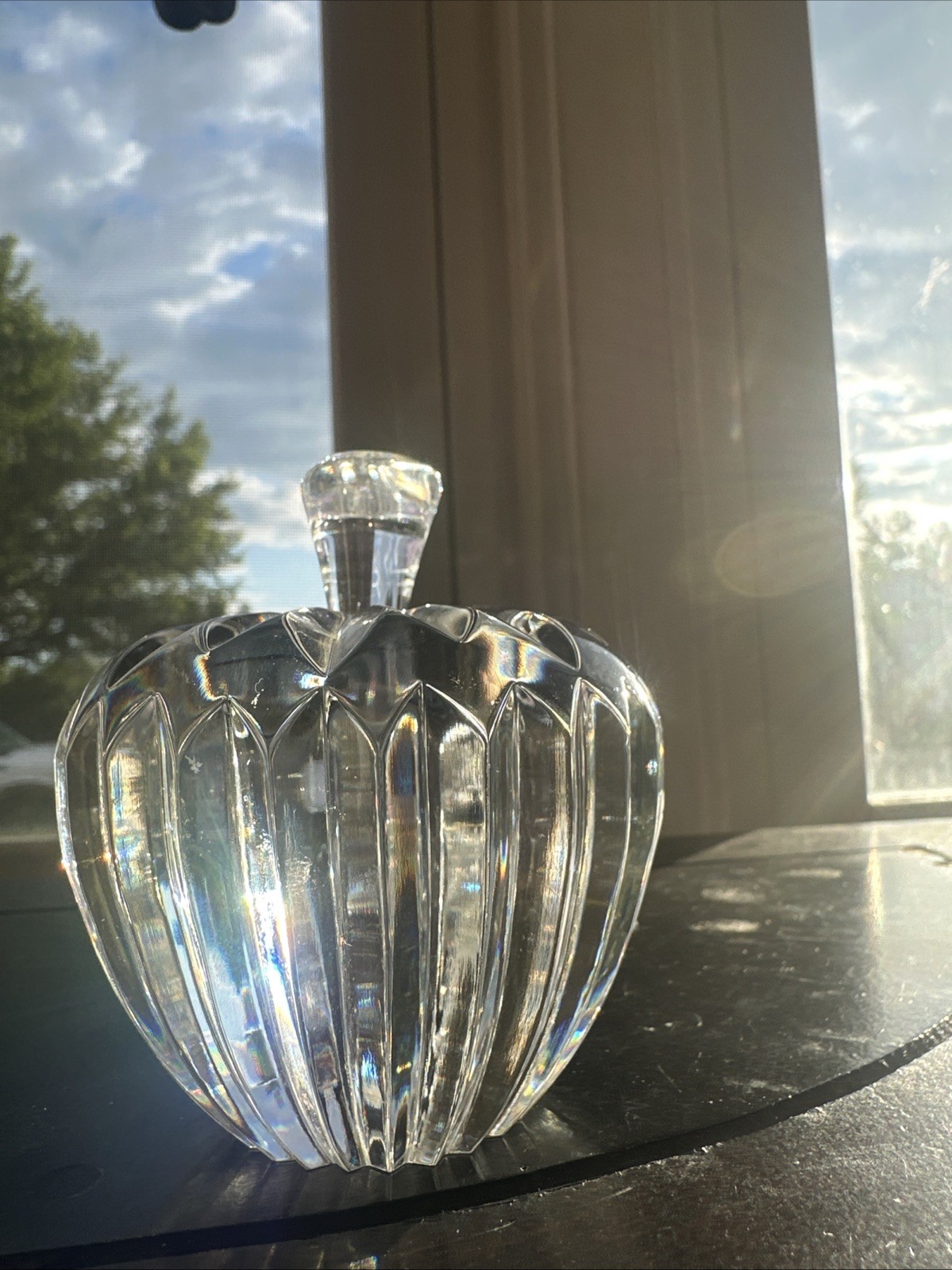 Signed WATERFORD CUT GLASS CRYSTAL APPLE Stem PAPERWEIGHT IRELAND *7