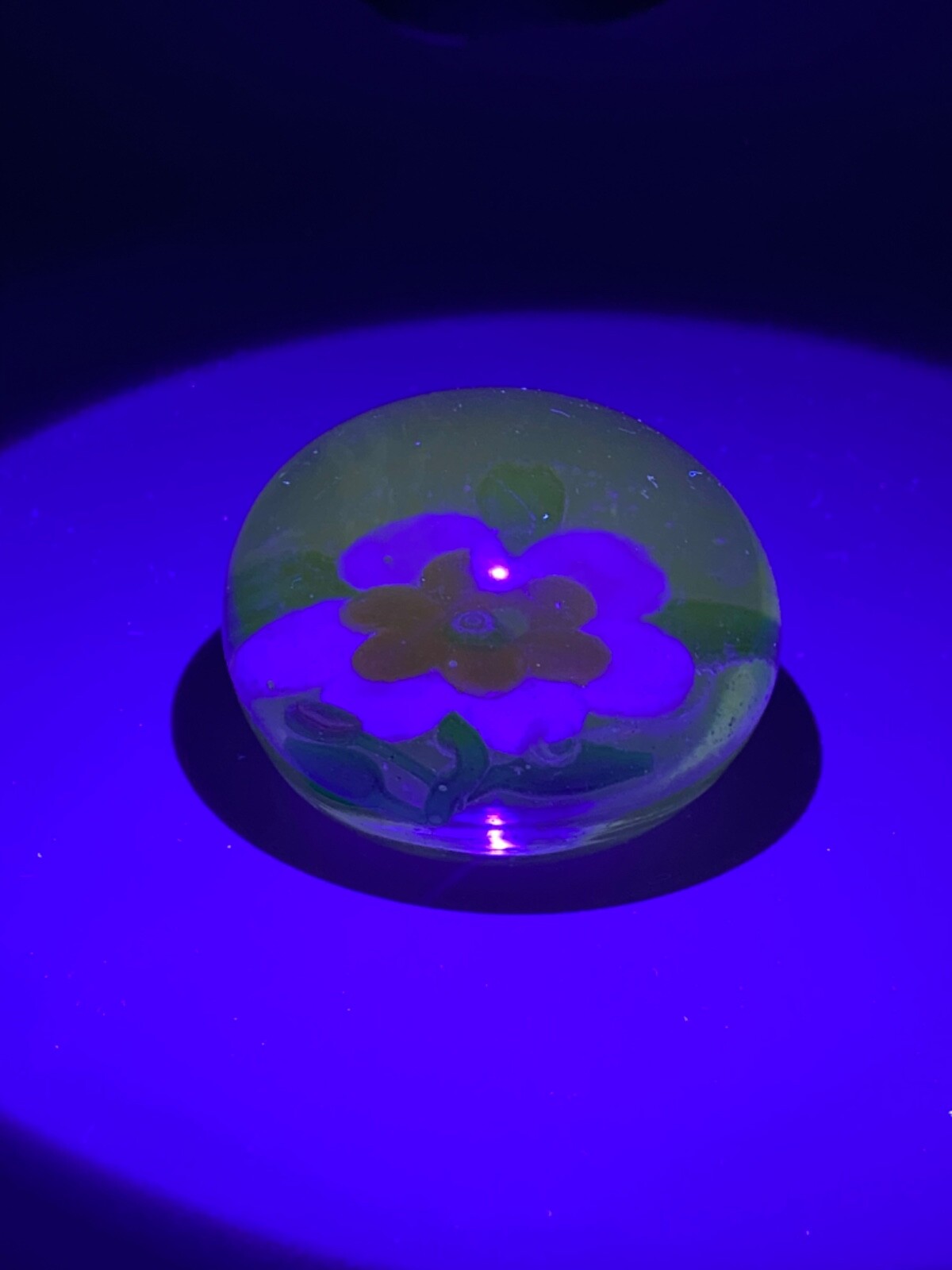 Antique Pink Red CLEMATIS FLOWER BUD Glass Paperweight GLOWS UNDER UV BLACKLIGHT