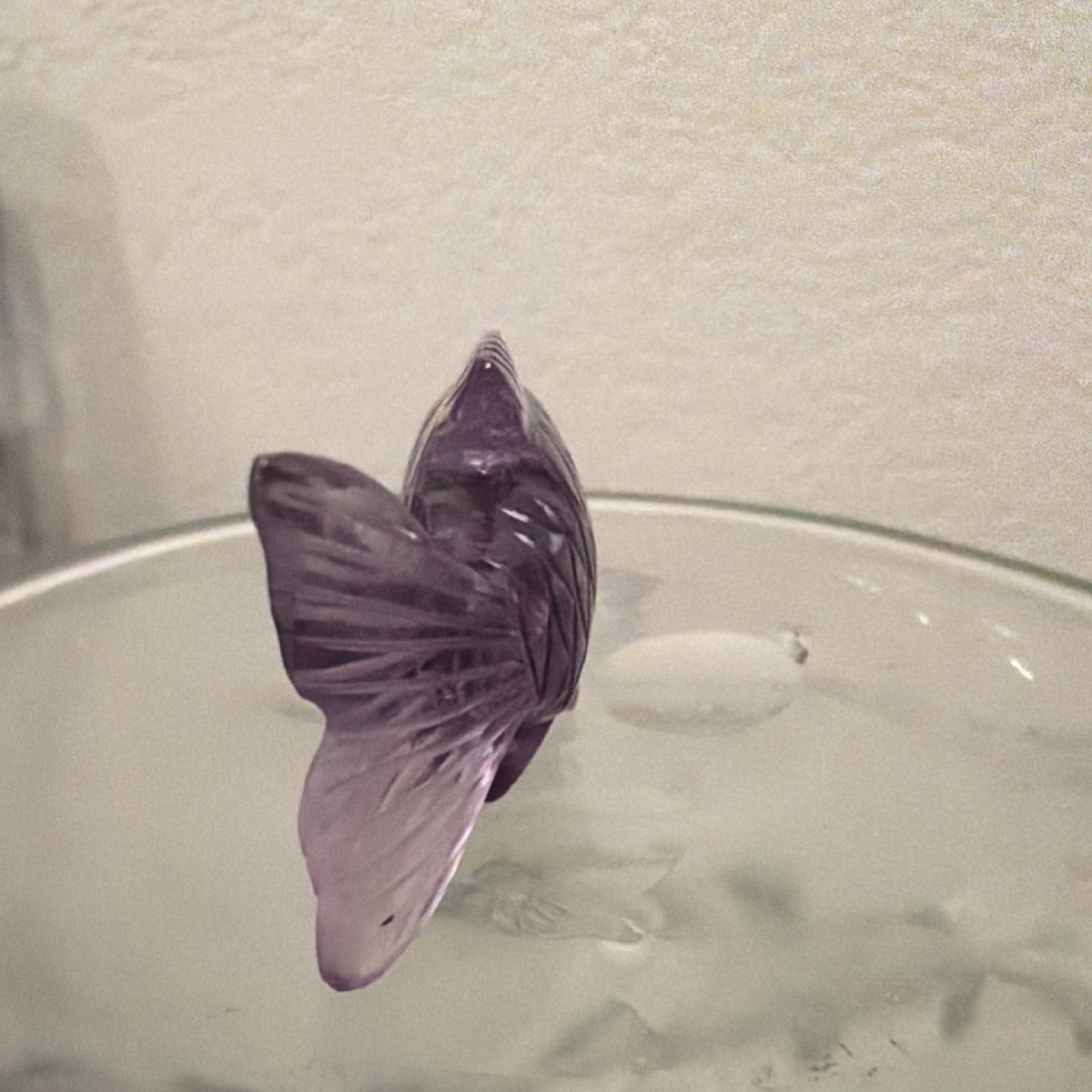 Purple Fish Figurine Decorative Collectible