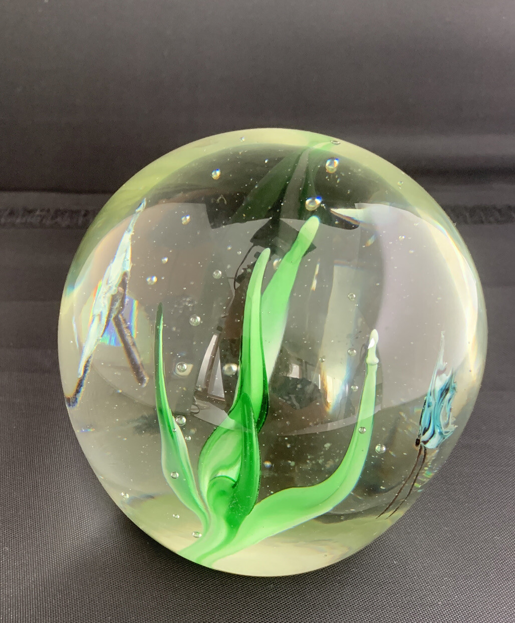Art Glass Paperweight Seascape Ocean Grass Water Blue Tropical Fish