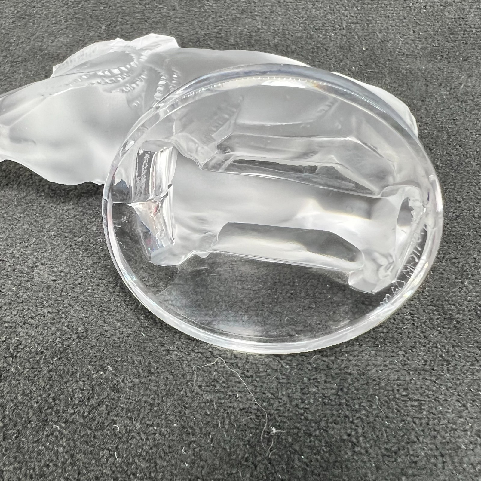 Signed Lalique Wild Boar Crystal Hood Ornament Mascot