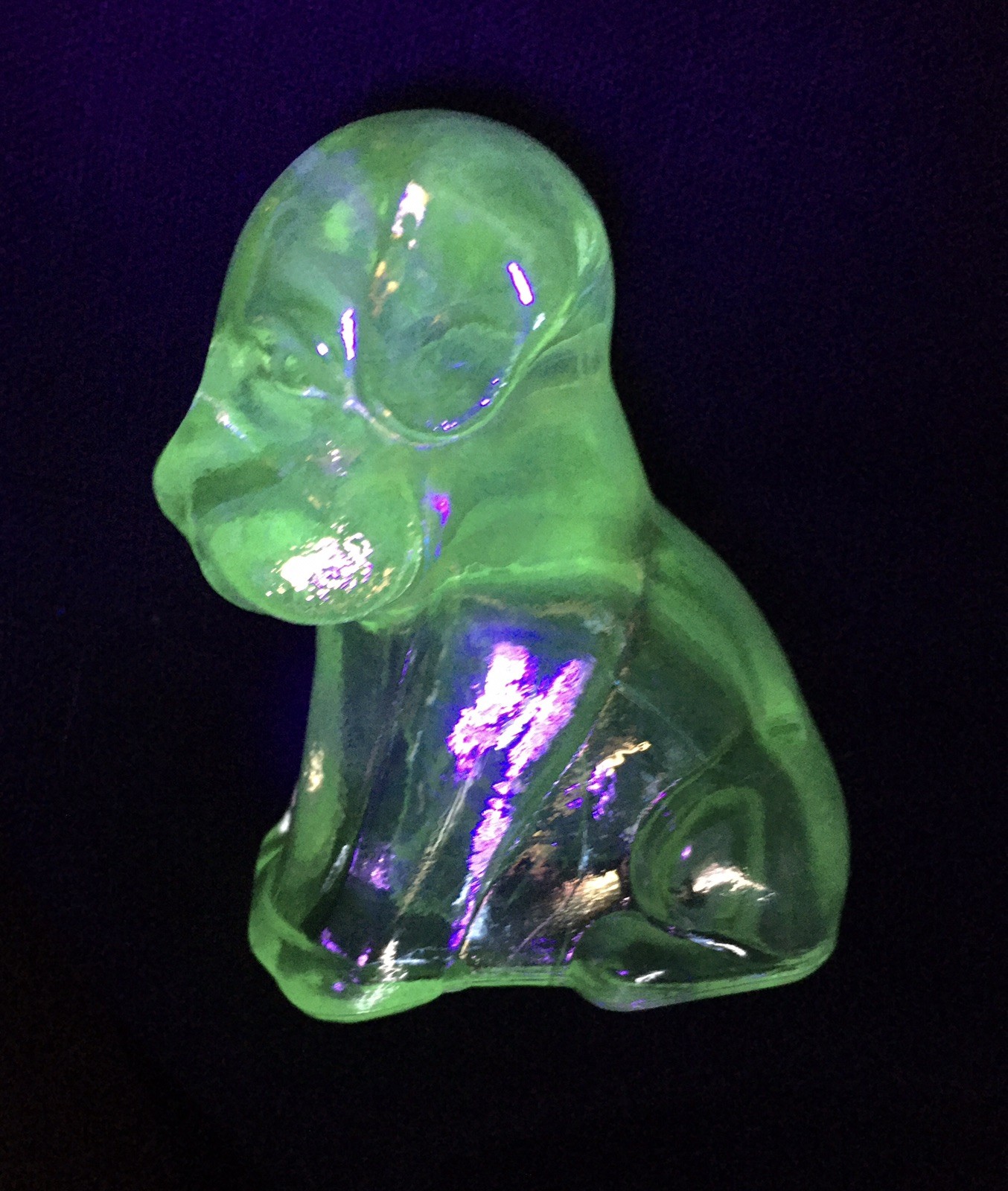 Boyd’s Crystal Art Glass’s Pooche The Dog, #167, March Carnival, UV Pos ~Glows