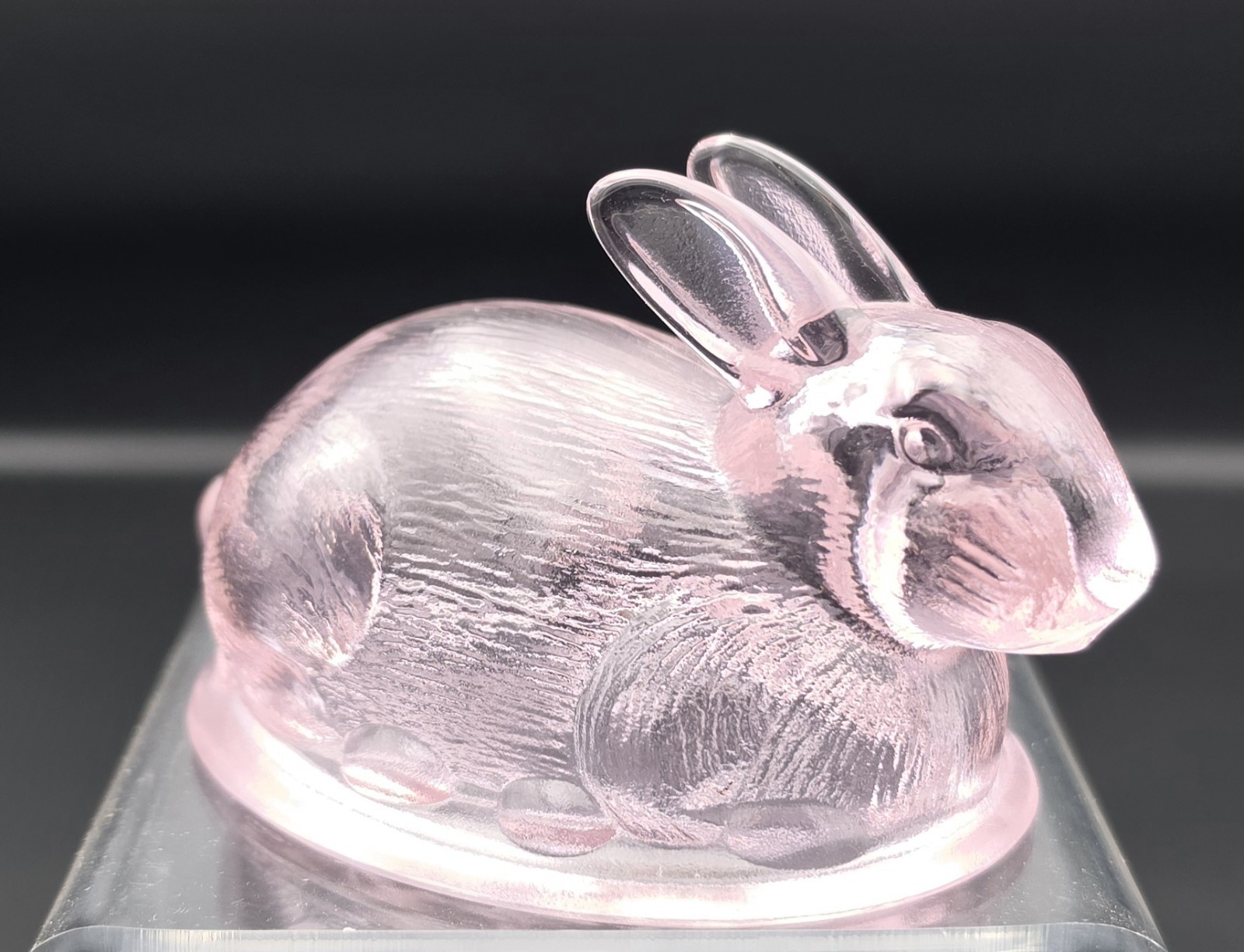 Pink Bunny On Nest Mosser New Passion Pink Vintage Style