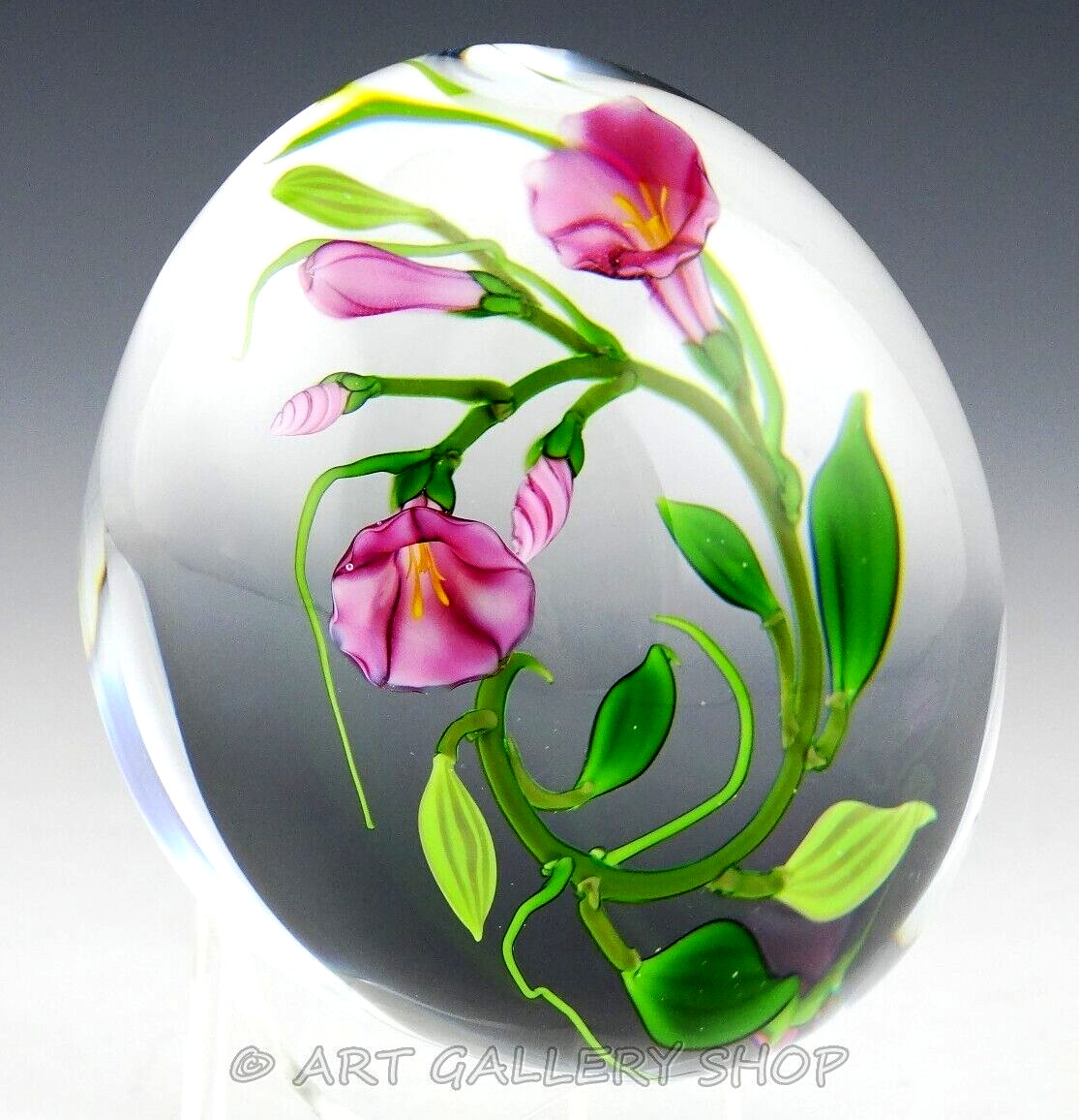 1988 CHRIS BUZZINI 3-1/8″ Art Glass Paperweight PINK MORNING GLORIES FLOWERS