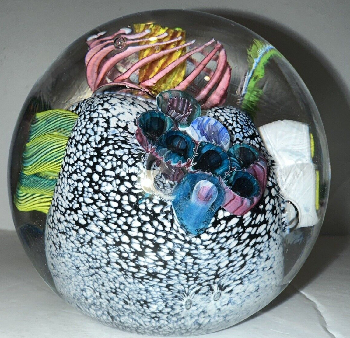 Artisan 1991 M E Mark Eckstrand 3.5″ Art Glass Sea Life Paperweight 1 lb 14 oz