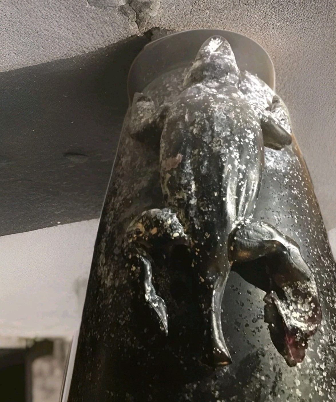 Vase Black & White Specks Stone 3D Alligator Heavy 8 1/2” Tall HTF OOAK