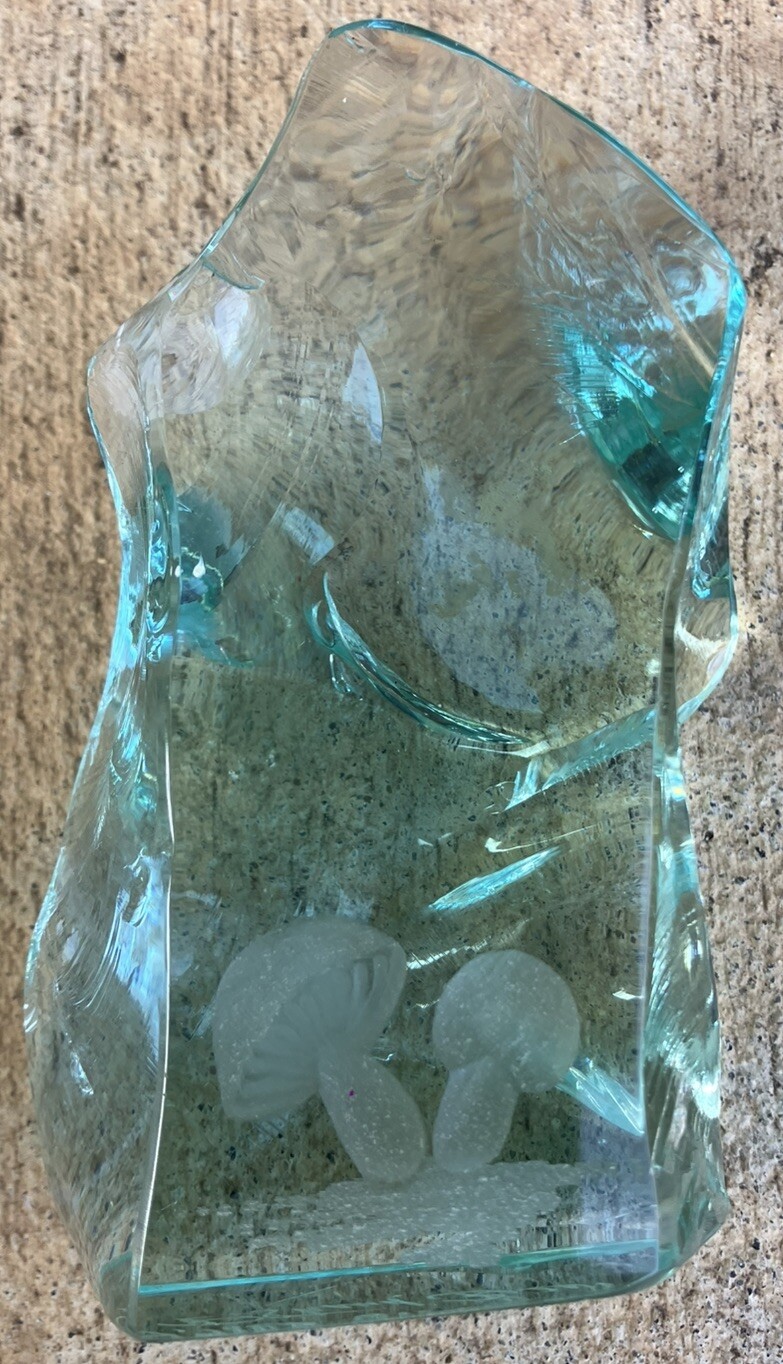 Vtg Art Glass Hovmantorp Rune Strand Borneson Mushrooms Sweden Signed