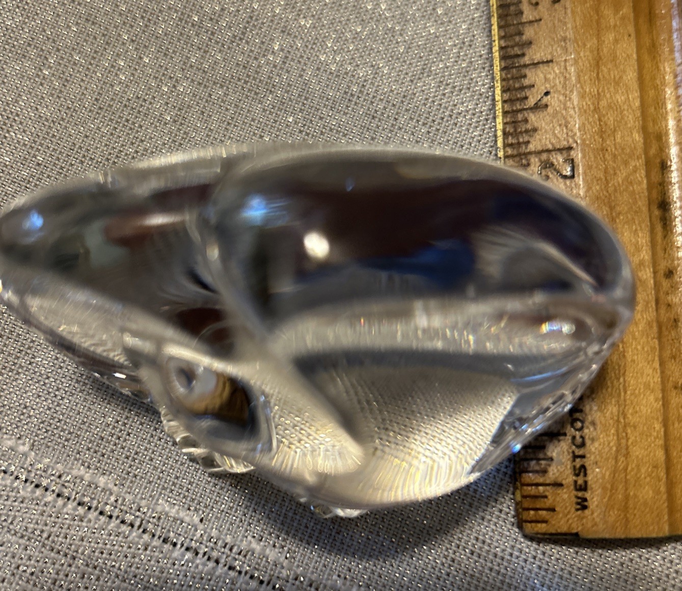 Vintage STEUBEN Signed Glass EAGLE Hand Cooler Rare Crystal Animal Paperweight