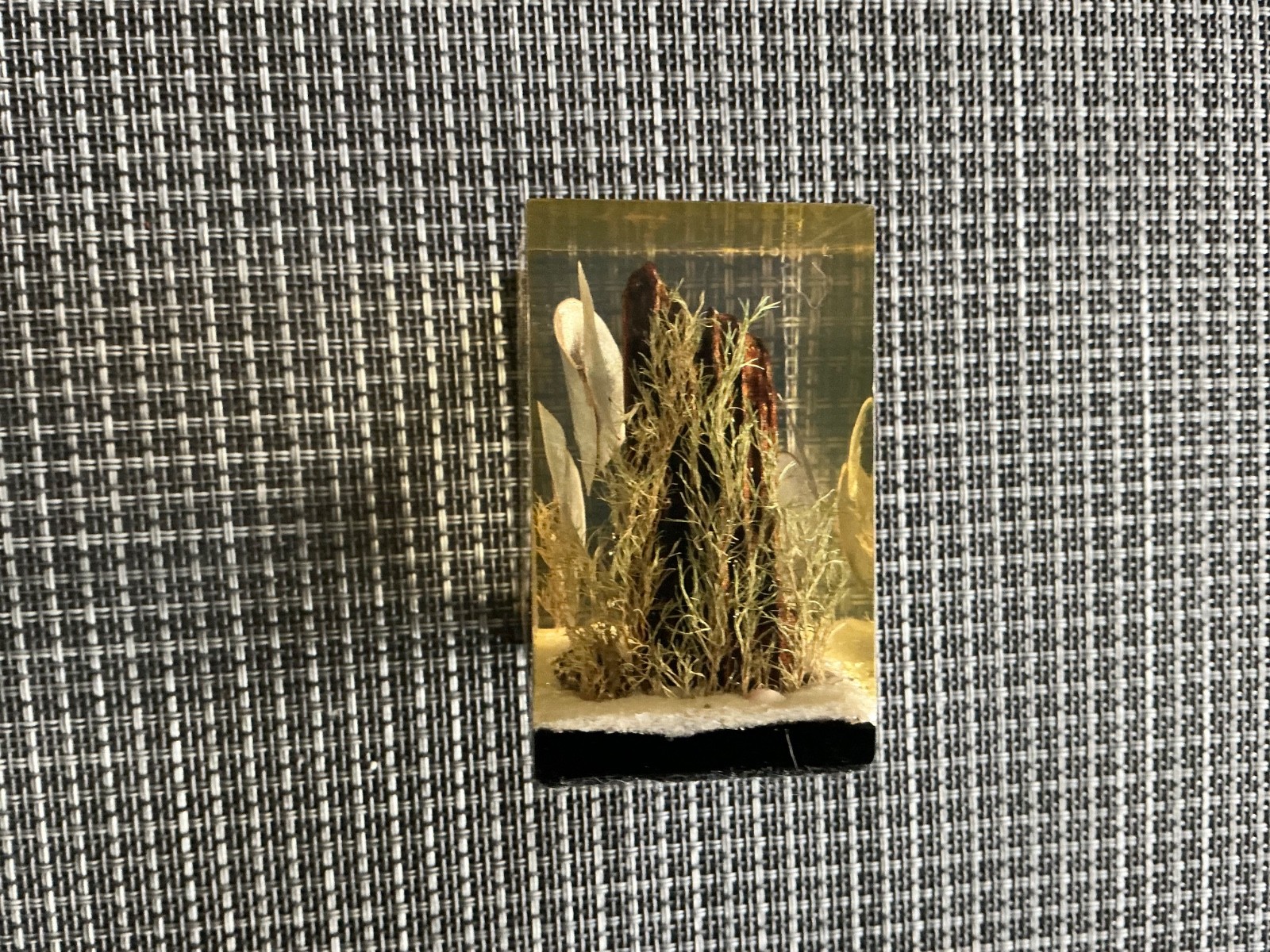 Vintage Lucite Paperweight Made Exclusively For Gump’s San Francisco Ocean Scene