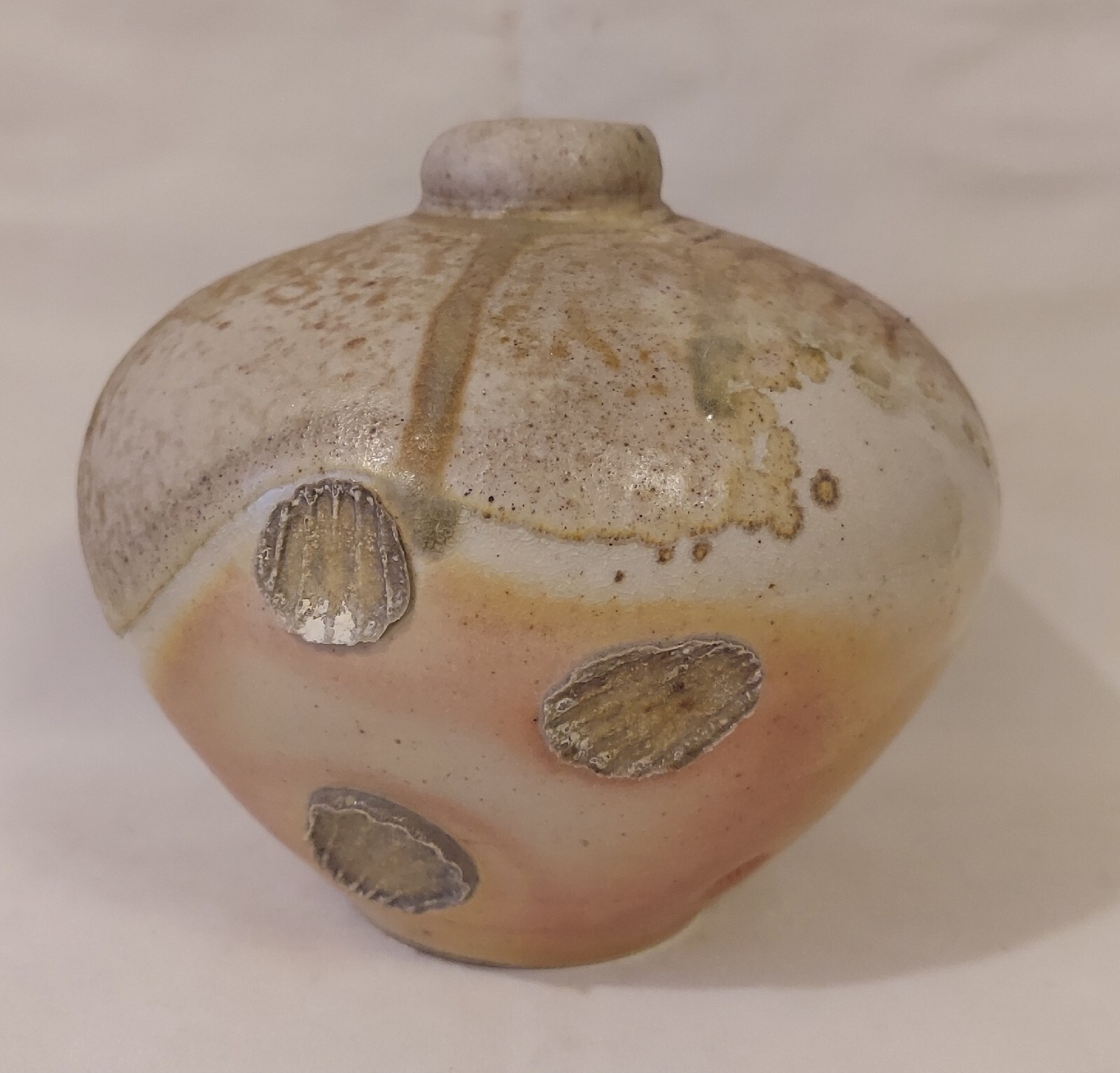 Seashell Impressions Art Pottery Vase