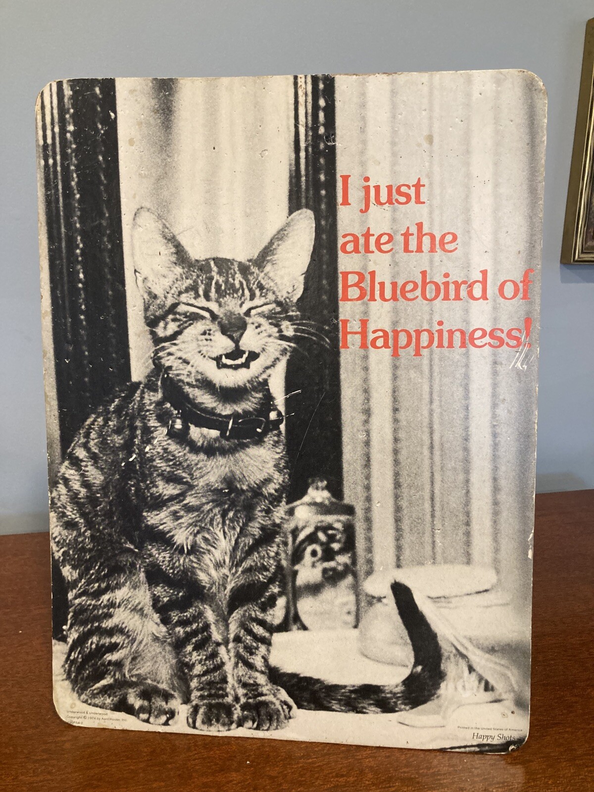 Vintage Bluebird of Happiness Cat Kitty Art Poster Wall Art 1974 Freestanding