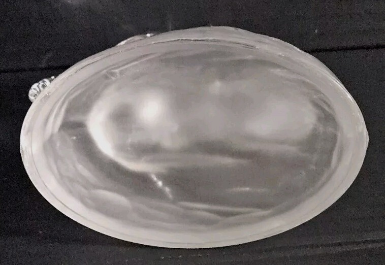 Vntg 1970s Cristal D’Arques Automatic Crystal Glass Rearing Horse Frosted Base