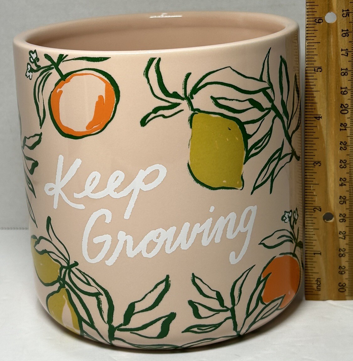 Planter “Keep Growing” Ceramic Porcelain Pink 6” x 5.5” Sonoma Southern Charm
