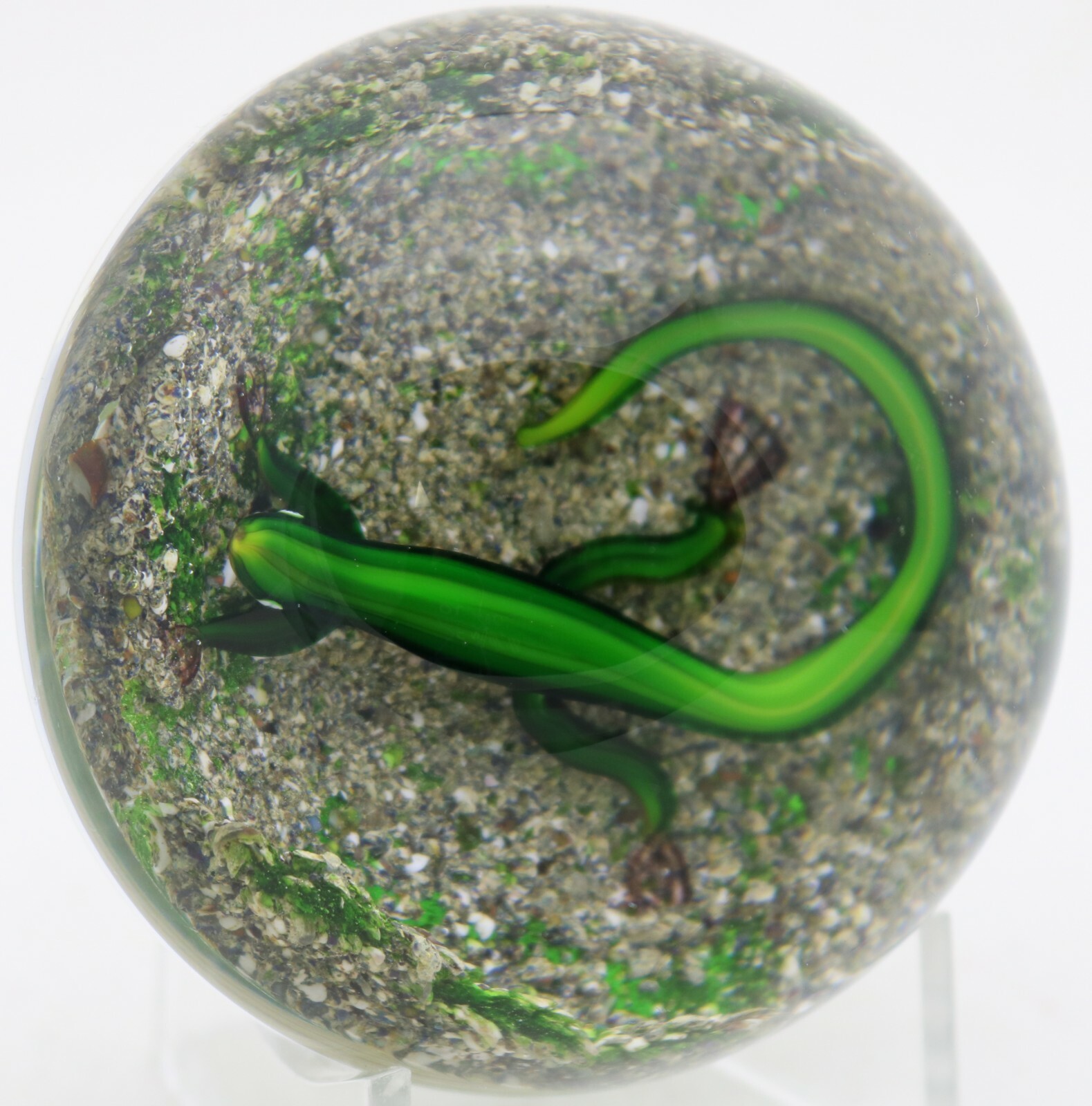 Masterful DELMO TARSITANO Vivid SALAMANDER Earth Life Art Glass PAPERWEIGHT