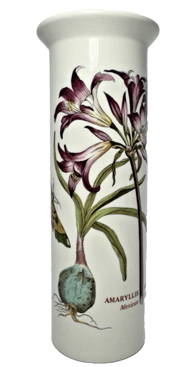 VTG Portmeirion Botanic Garden 9” Cylinder Vase AMARYLLIS Flower Moth Butterfly