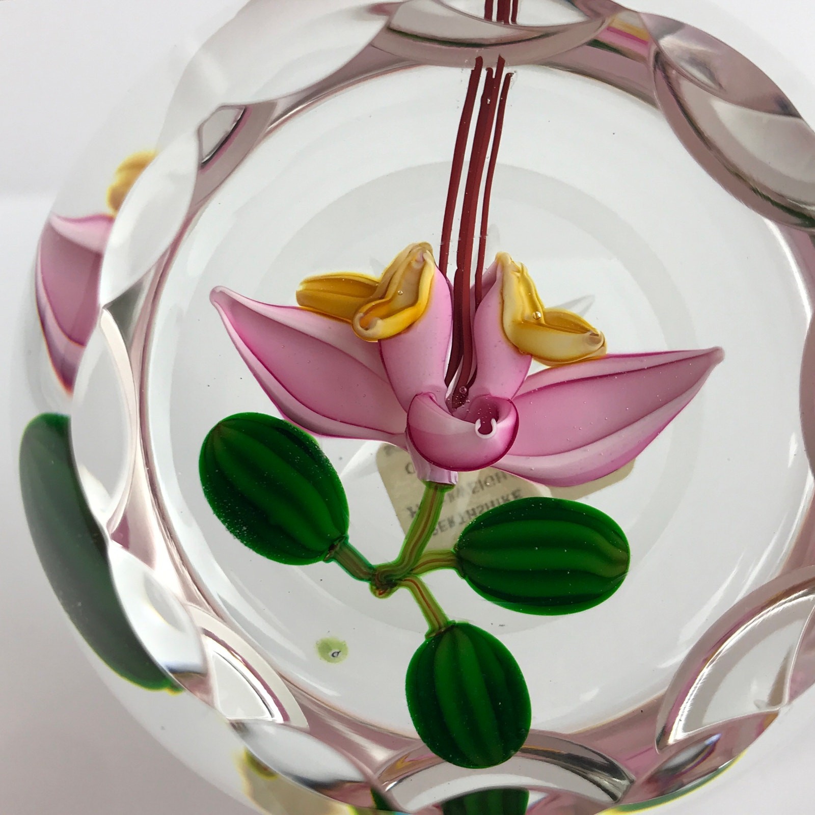 Perthshire 1987C Theobroma Cacao Flower Scallop Faceted Lampwork Paperweight COA