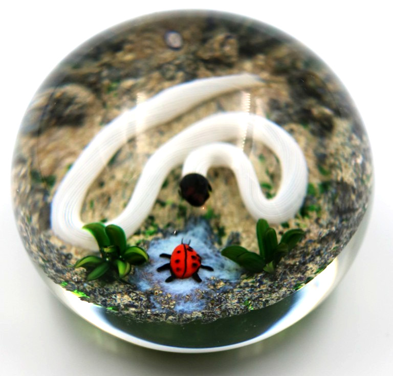 Fascinating DELMO TARSITANO Ribbon Snake Lady bug Beetle Art Glass Paperweight