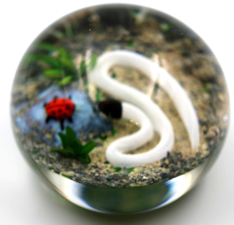 Fascinating DELMO TARSITANO Ribbon Snake Lady bug Beetle Art Glass Paperweight