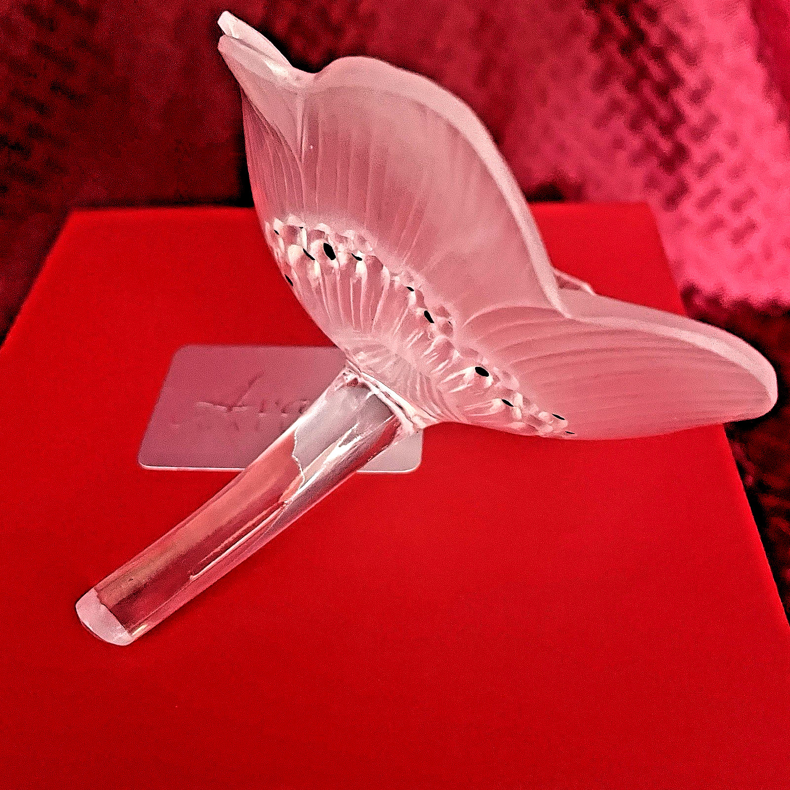 ANTIQUE LALIQUE FROSTED ANEMONE WIITH CLEAR STEM – NIB