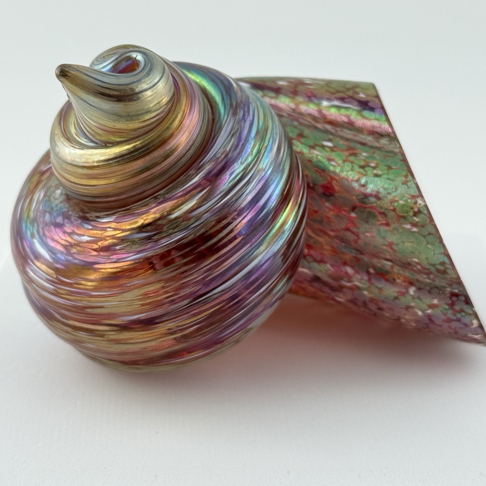 Cohn Stone Studios Art Glass Nautilus Shell Paperweight Sculpture Iridescent