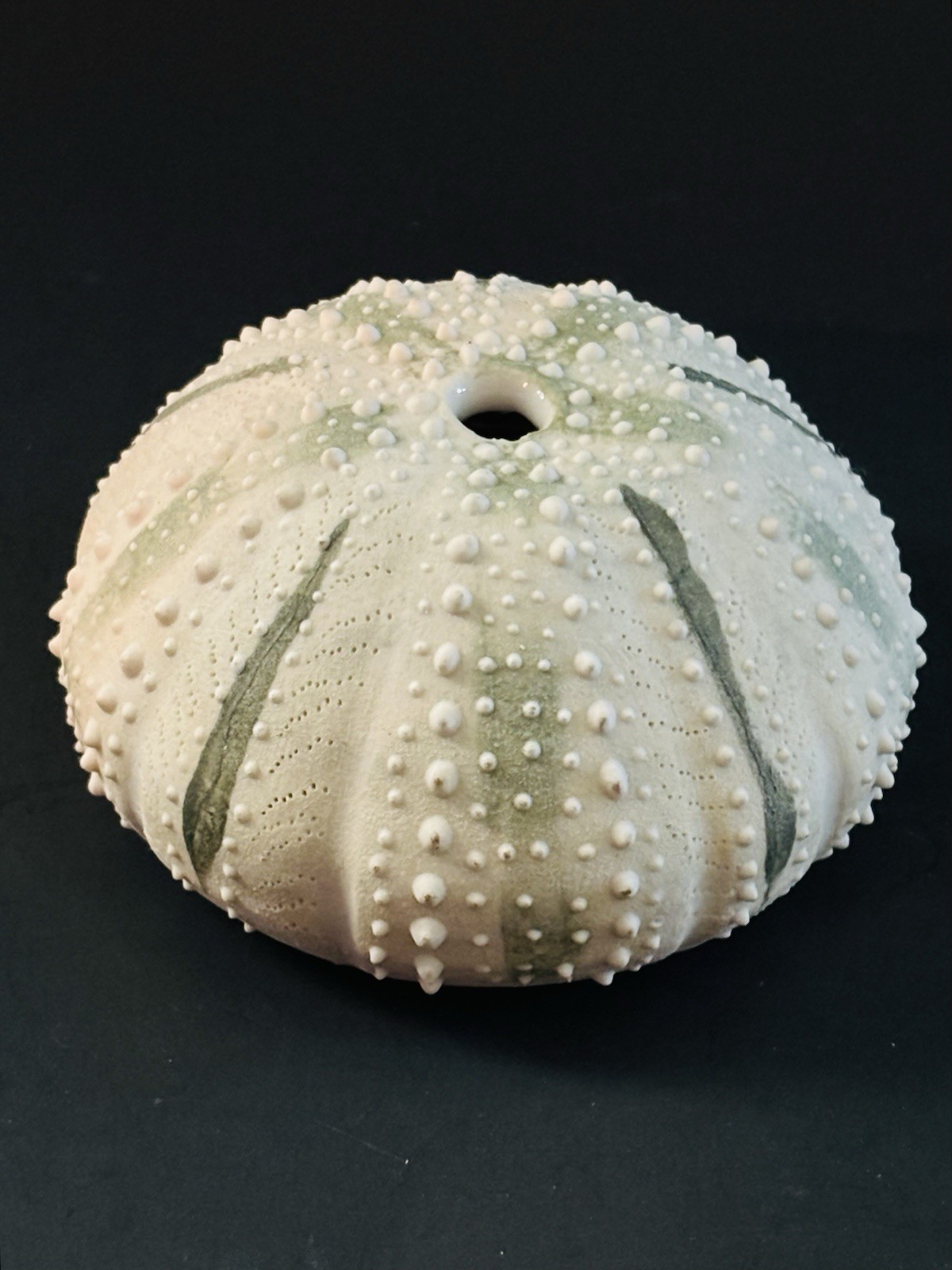 Sea Urchin Realistic Sculpture Seascape Signed Art Pottery Seed Pot