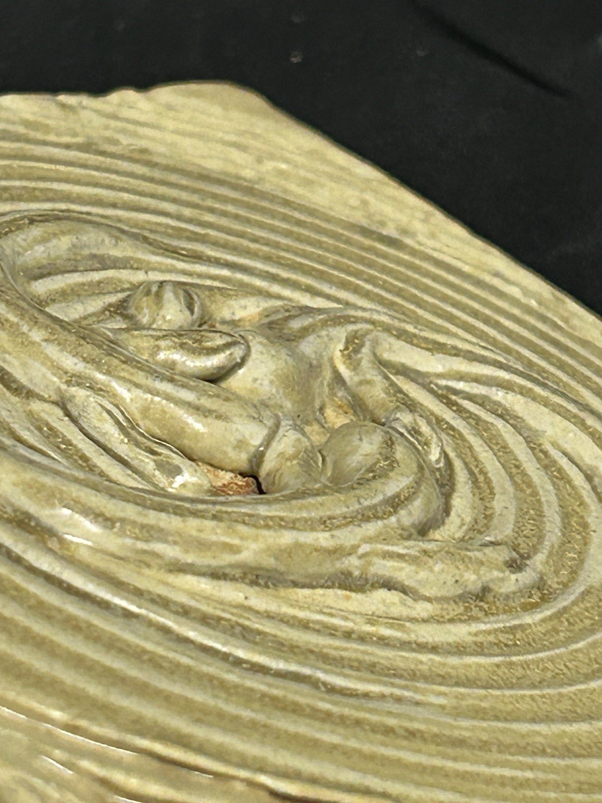 Swirled Cactus Pottery Tile 6.25” x 6.25”