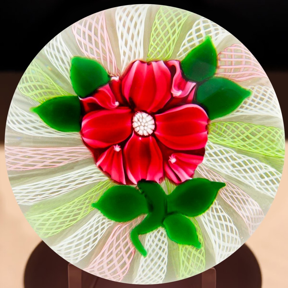 John Deacons Tudor Rose On Pastel Latticino