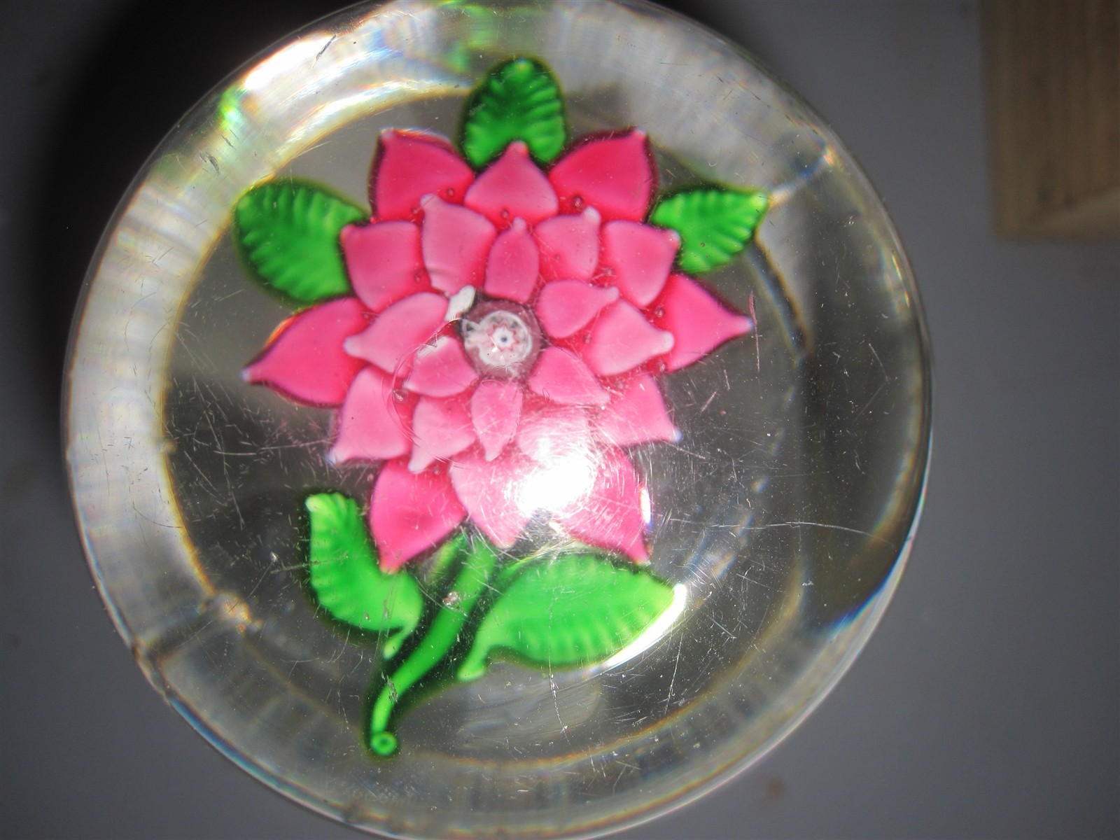 paperweight NEGC Hawley coll. rare 4 layer poinsettia or dahlia flower red