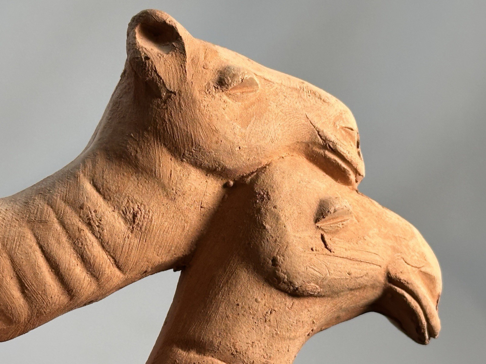 Handmade Terracotta Camels Naughty Art Pottery Sculpture Novelty Nativity