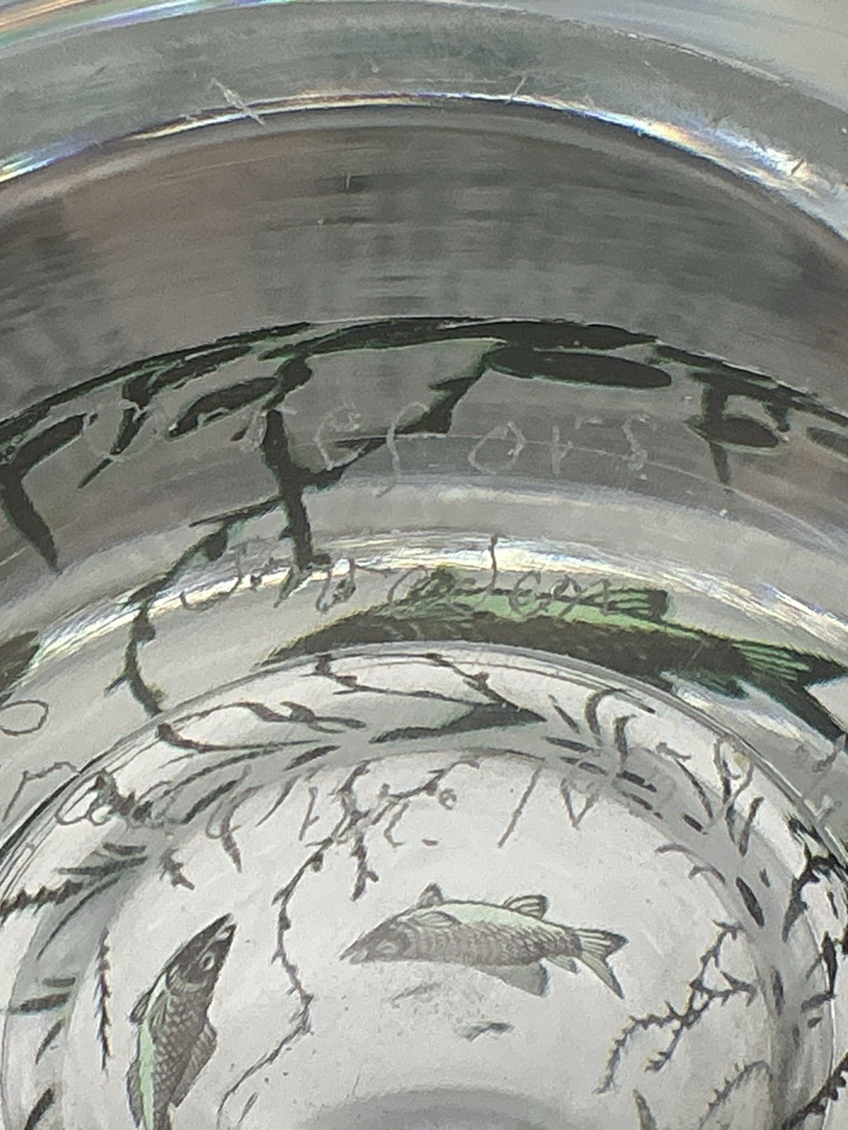 Orrefors Fish Underwater Aquarium Graal Vase Edward Hald Sweden 5.25 Inches