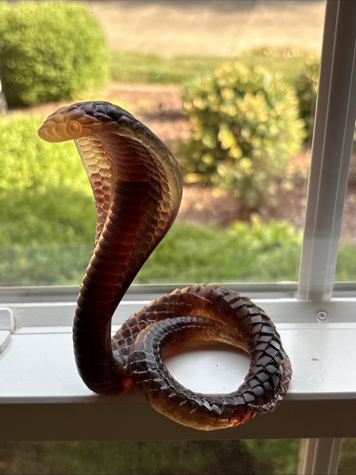 DAUM PATE DE VERRE COBRA SNAKE AMBER 5 inH x 3.5 in W-MINT with Orig Box