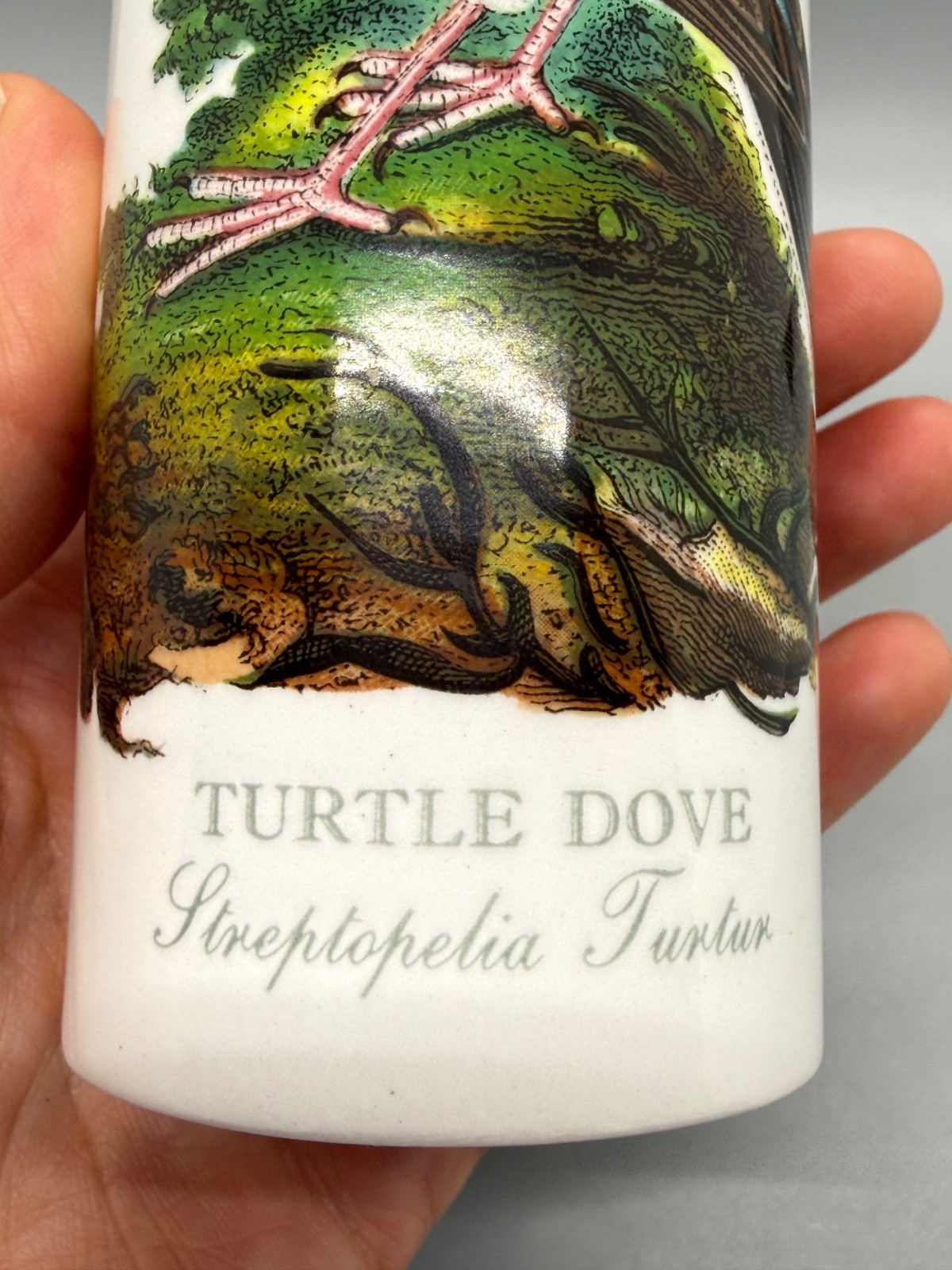 Portmeirion Vase Birds of Britain “Turtle Dove” Vintage