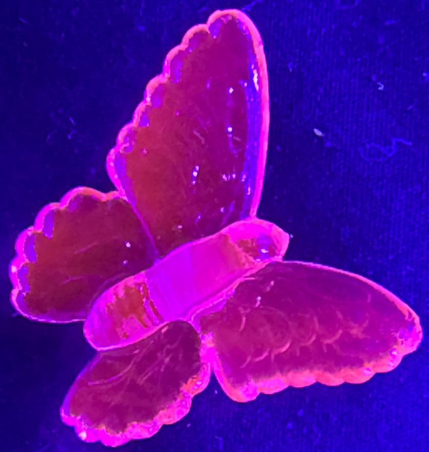 Green Vaseline glass butterfly insect monarch glow moth animal uranium selenium