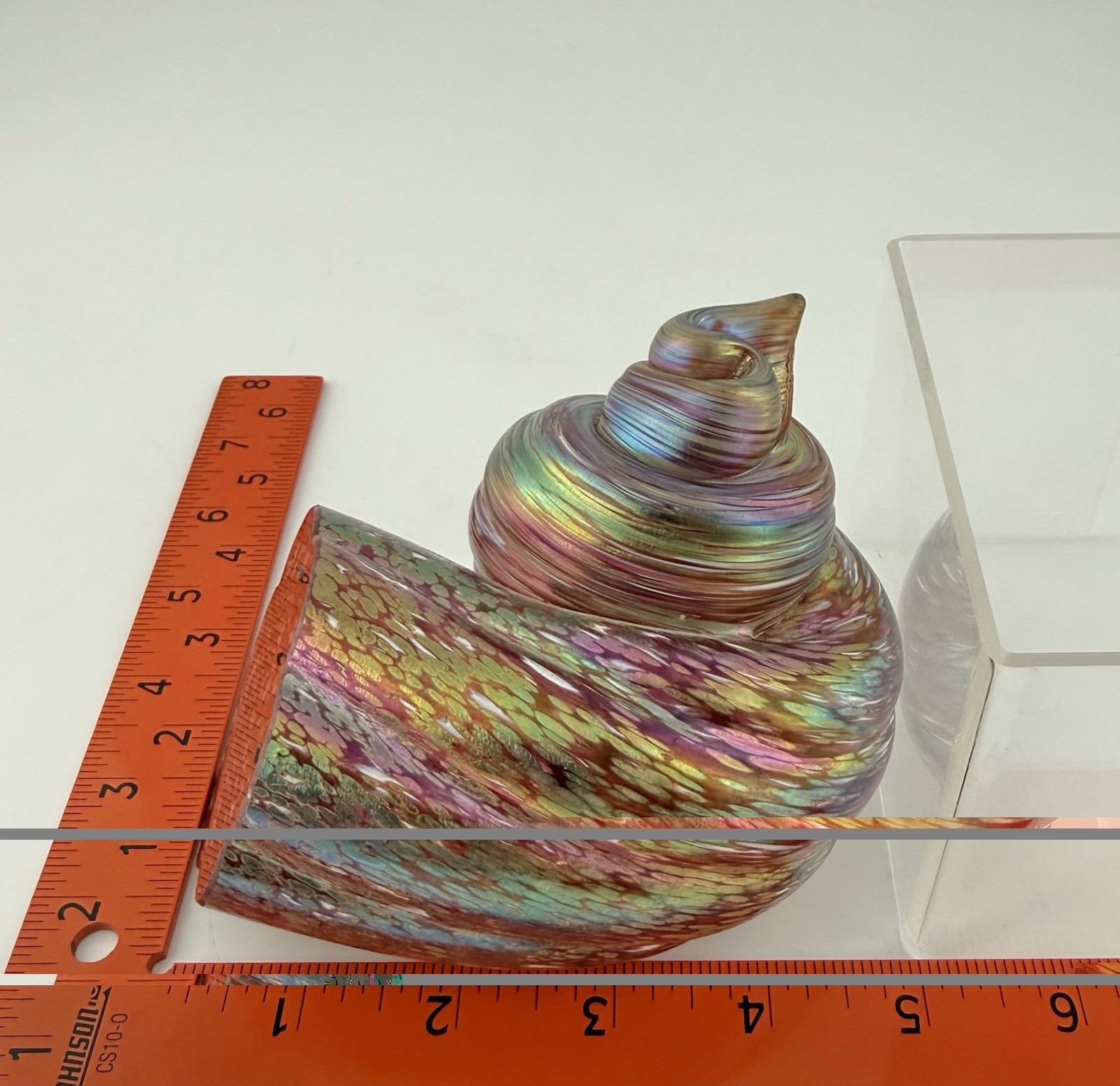 Cohn Stone Studios Art Glass Nautilus Shell Paperweight Sculpture Iridescent
