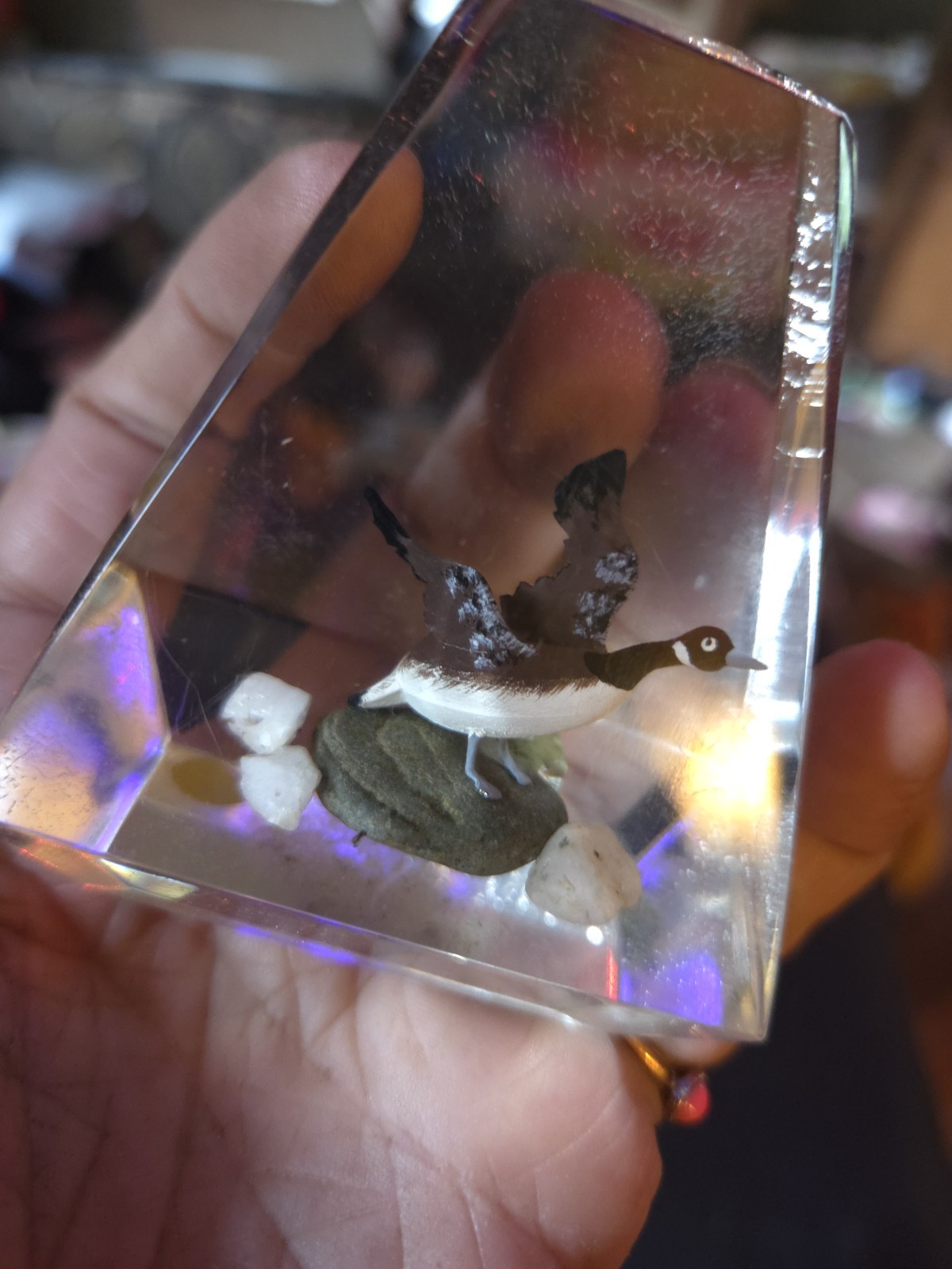 Vintage Canadian Goose Paperweight – Lucite/Resin Sculpture-Souvenir Desk Decor