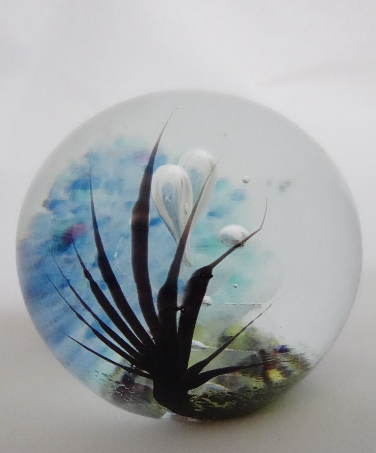 1991 Signed Johnathan Winfisky Round Seascape Art Glass Paperweight