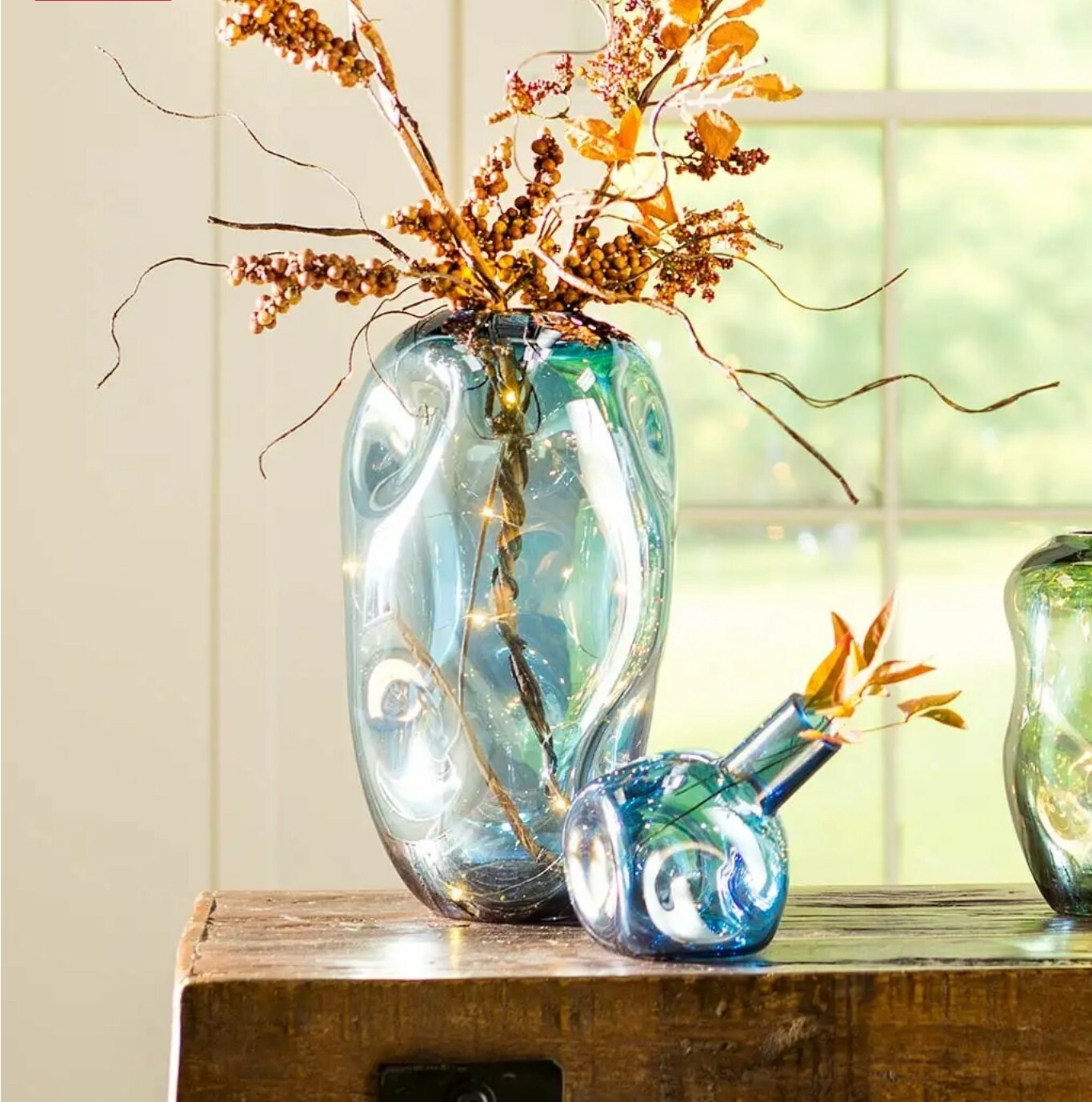 Glass Vase 2-Piece Set by Wind & Weather Large Abstract Organically Shaped