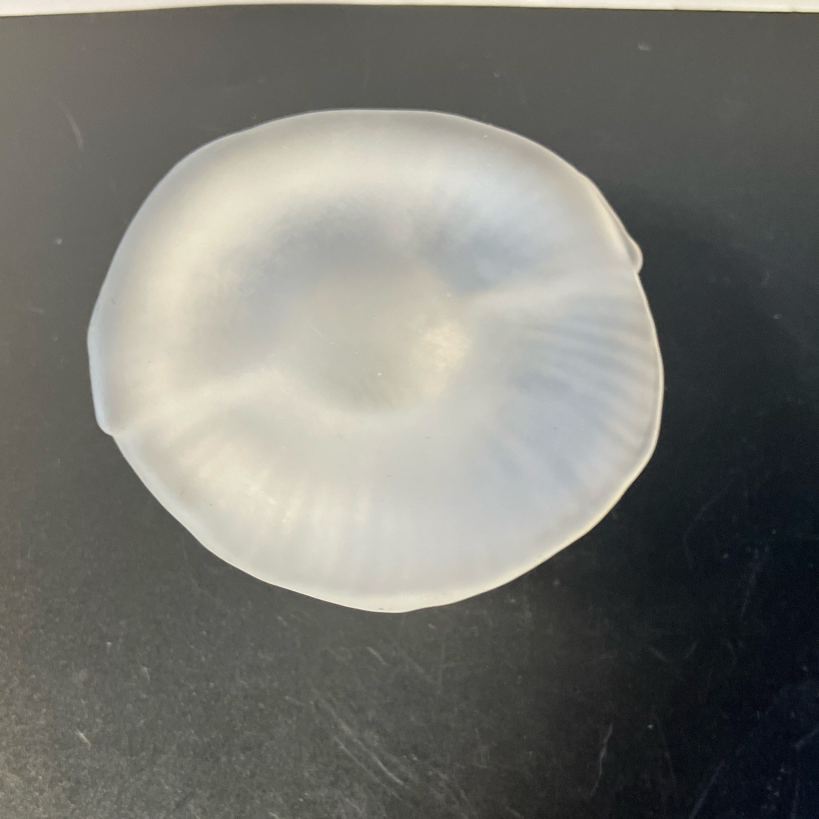 Clear White Frosted Glass Mushroom Paperweight Matte Finish Decorative