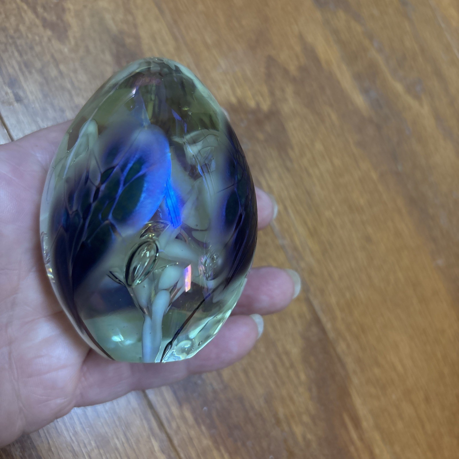 Paperweight Mount St. Helens Ash Glass Egg Signed MSH Vines Vtg Iridescent 1986