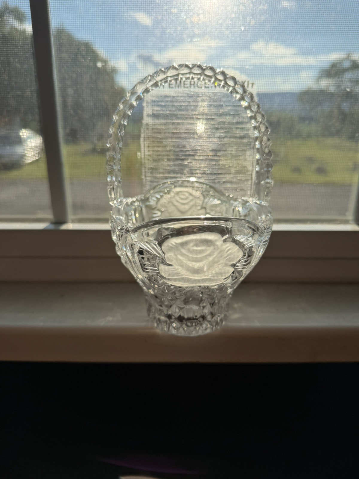 Vintage Crystal Clear Industries Frosted Rose Footed Basket Made in Germany 7”