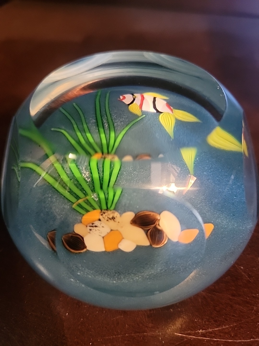 Perthshire Scottish Paperweight, 2.5″ x 1.75″ Millefiori Fish