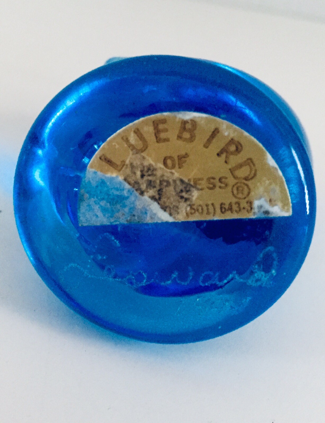 OZARK STUDIOS “Byron Hicks” & BLUEBIRD OF HAPPYNESS “Leo Ward” GLASS BLUEBIRDS