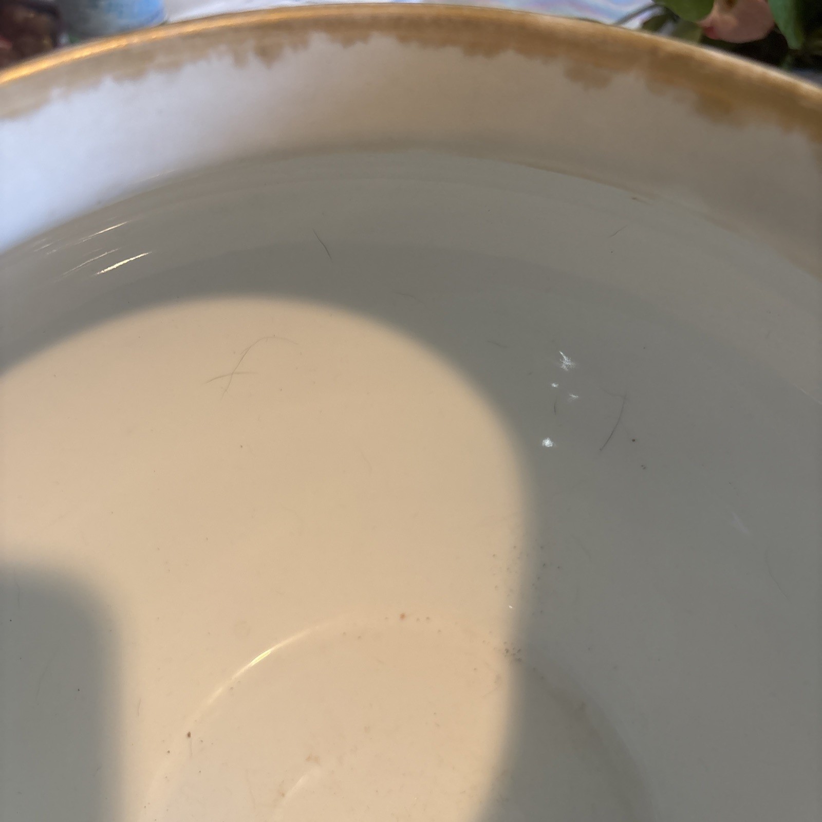 Antique Limoges Jardiniere Hand Painted Signed D and C Limoges & Olive Glover