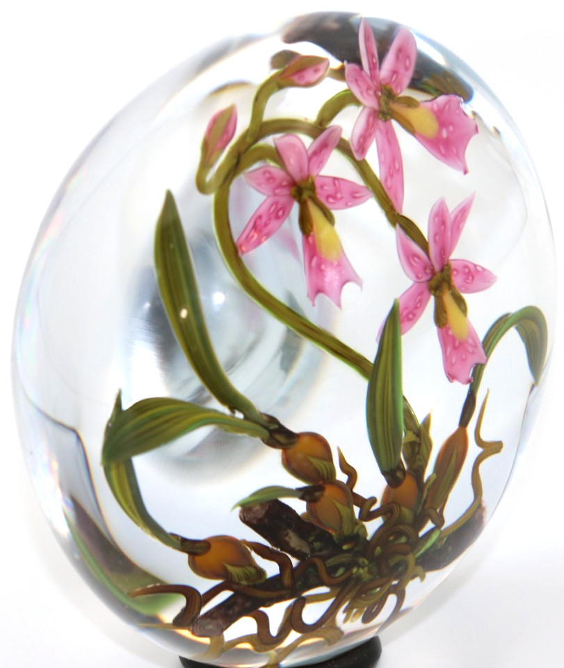 Spectacular CHRIS BUZZINI Blooming ORCHIDS 3.5″ Art Glass PAPERWEIGHT 1 of 1
