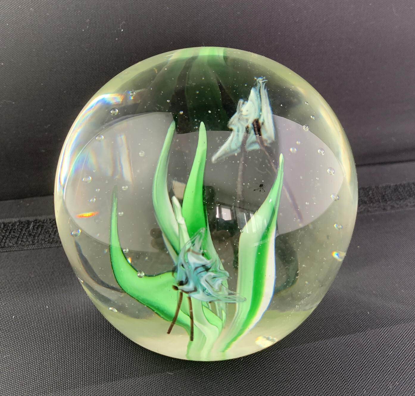 Art Glass Paperweight Seascape Ocean Grass Water Blue Tropical Fish