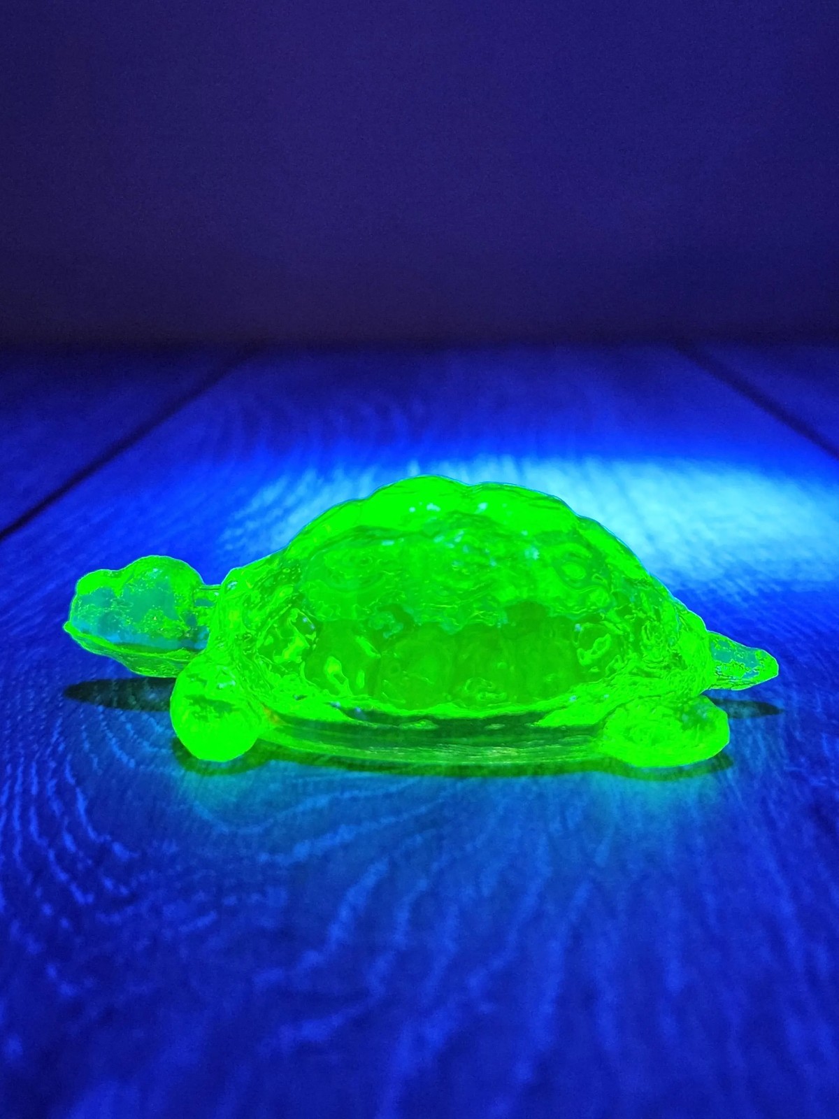 Vaseline Yellow Topaz Uranium Art Glass Turtle -Glows!