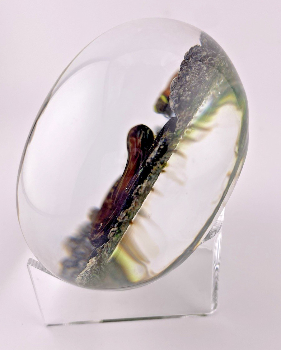 Delmo Tarsitano Magnum Snake & Fly From His “Earth Life” Series. 3.5″