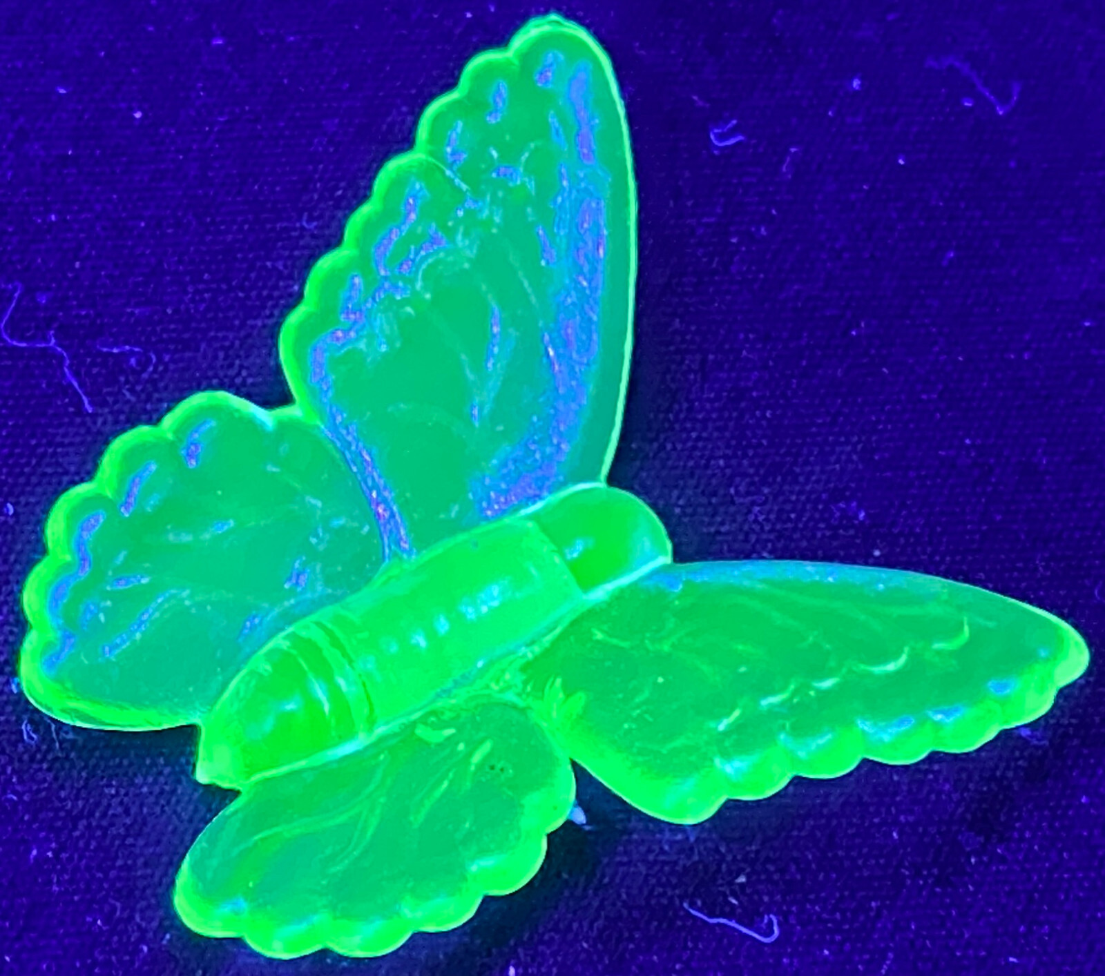 Blue Vaseline glass butterfly insect monarch glow neon animal uranium / selenium