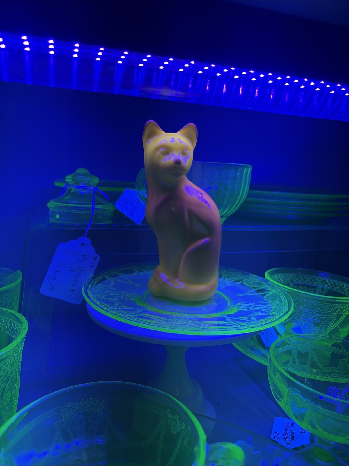 Fenton By Mosser Dandelion Sitting Cat Original (Glows)