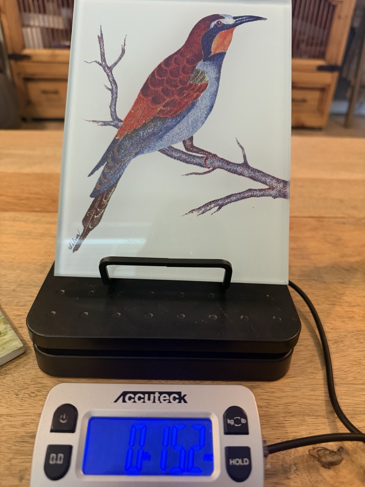 Glass Tile Of Blue-Throated Bee-Eater Bird, Signed Silver, 8”x6” 15oz